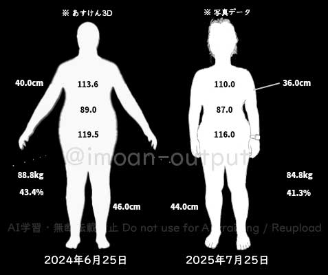 2024/6/24〜2025/7/25の体形遷移